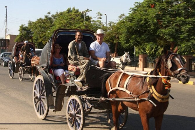 Horse Carriage City Tour in Luxor City With Meal and Soft Drink - Booking and Contact