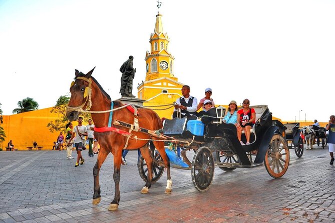 Horse Carriage Ride - Key Points