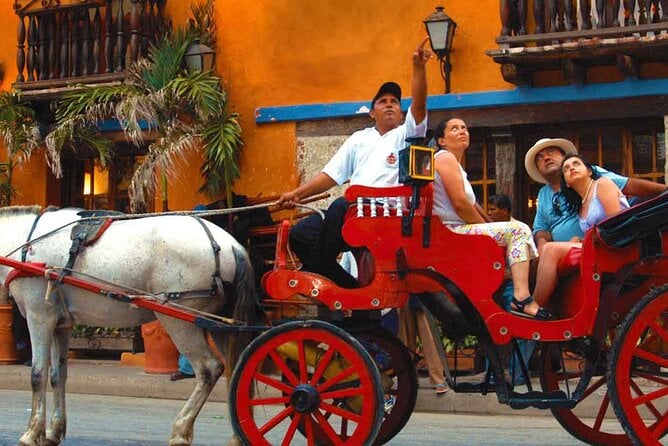 Horse Carriage Ride - Traditional Horse Carriage Ride