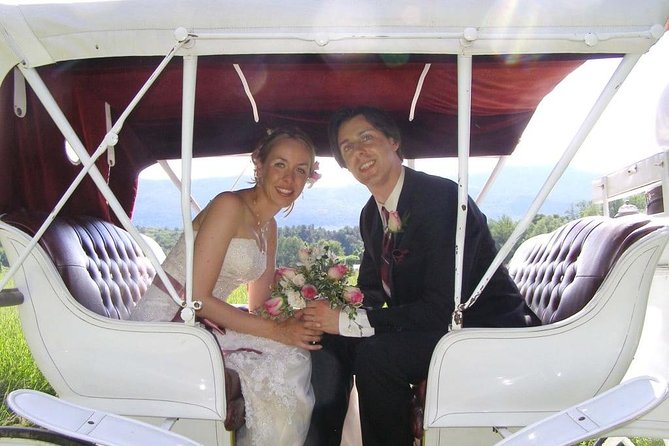 Horse Carriage Romantic Ride (VIP-Private) in Central Park 1964 - Charming Central Park Tour