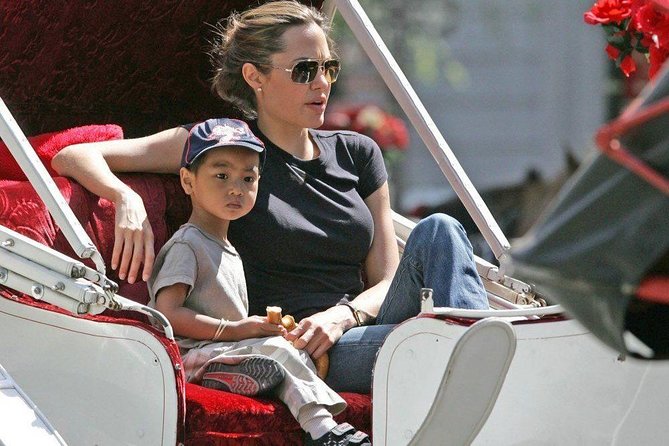 Horse Carriage Romantic Ride (VIP-Private) in Central Park 1964 - Booking and Cancellation Policy