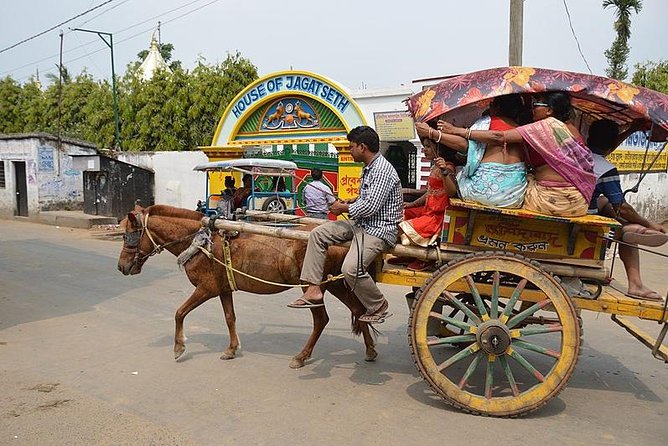 Horse Carriage (Tonga) Tour In The Old City Of Bikaner - Discovering Rampuria Havelis Architectural Grandeur