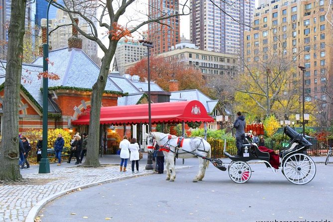 Horse Carriage Tour in New York Citys Central Park Small Loop - Meeting and Pickup