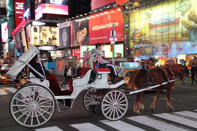 Horse Carriage Tour in New York Citys Central Park Small Loop - Reviews and Ratings