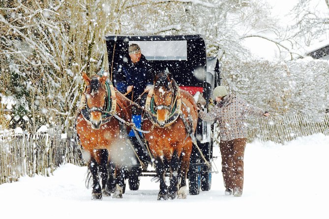 Horse Carriage Tour of Garmisch-Partenkirchen - The Roman Road