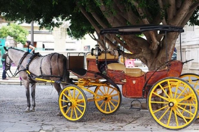 Horse-Drawn Carriage Private Ride Through Seville - Meeting and Pickup Information