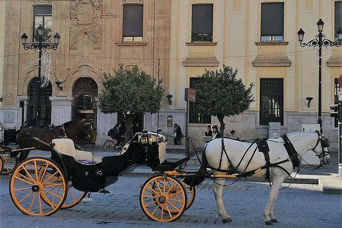 Horse-Drawn Carriage Private Ride Through Seville - Convenient Hotel Pickup