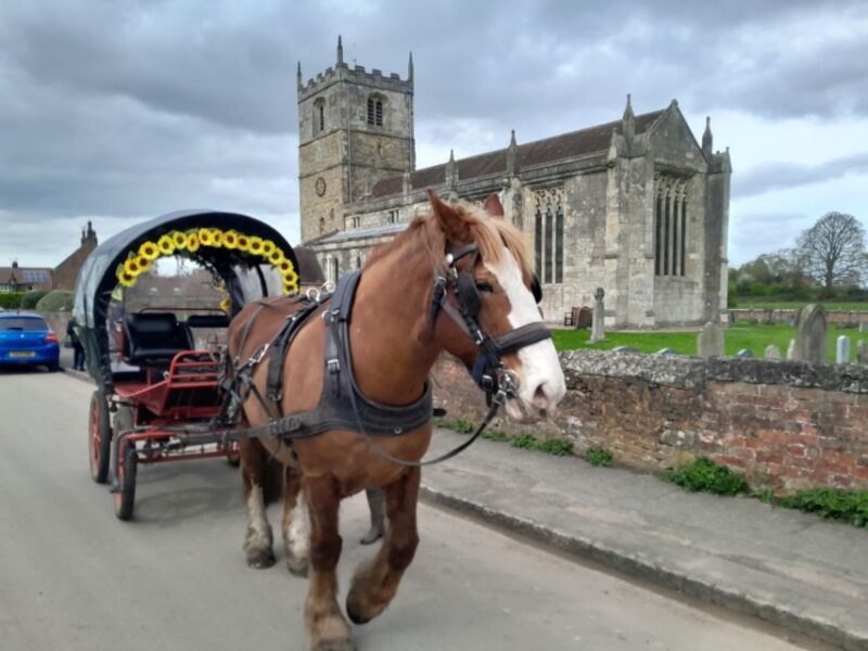 Horse Drawn Carriage Ride and Picnic Hamper - Group Size and Pricing