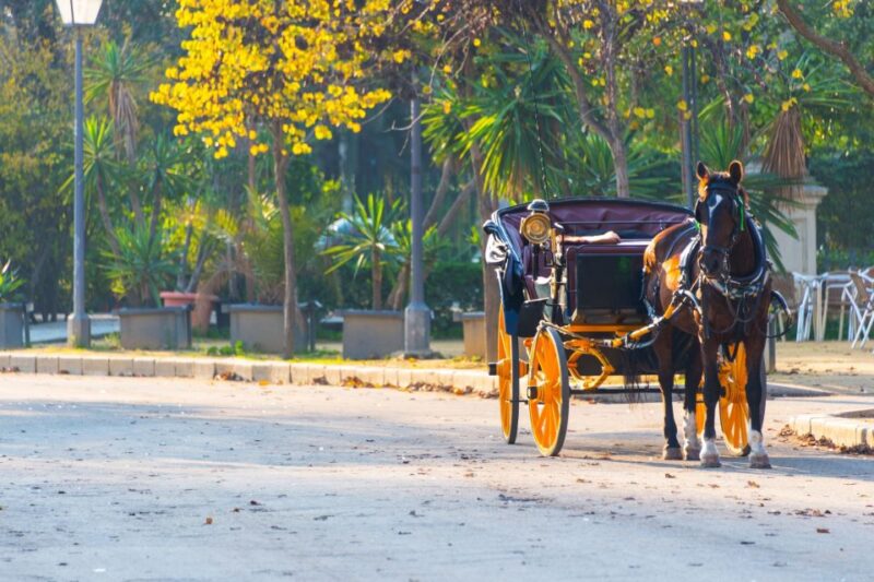 Horse-Drawn Carriage Ride Through Seville - Starting Point: Casa Castro Cadedi