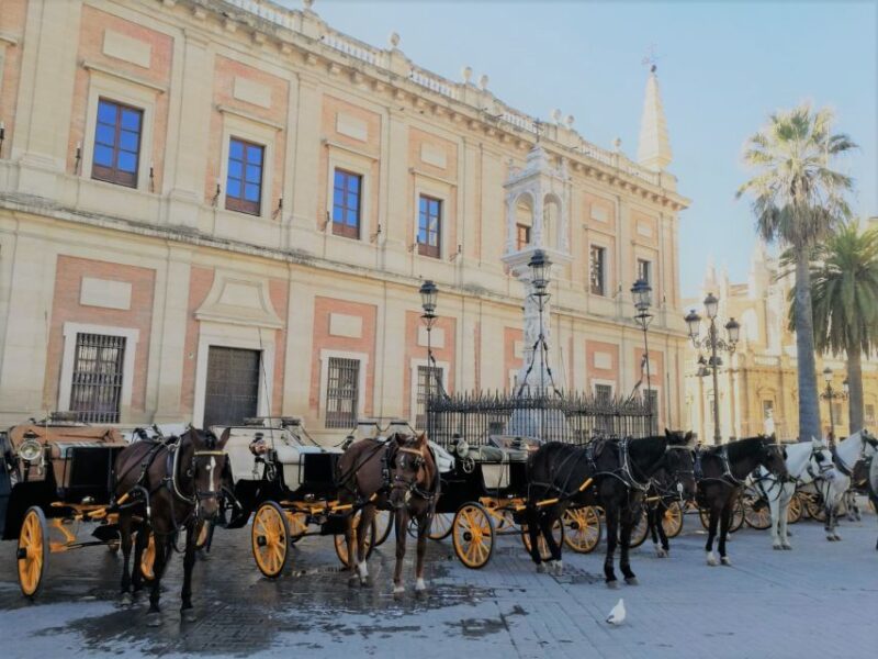 Horse-Drawn Carriage Ride Through Seville - University of Seville and Hotel Alfonso XIII