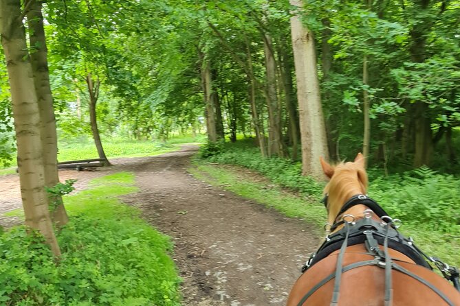 Horse Drawn Carriage Ride York - Confirmation and Booking Process