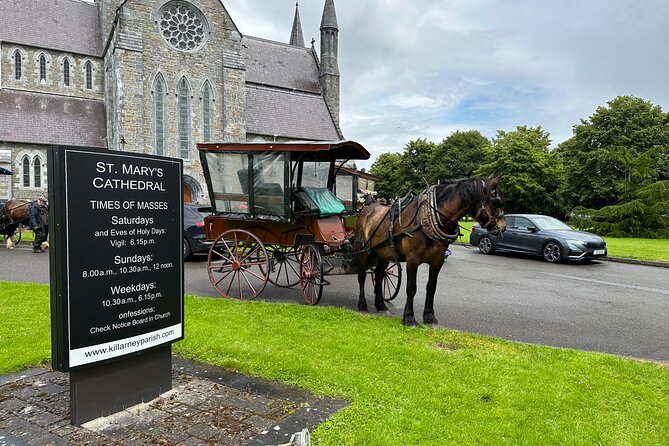 Horse-Drawn Carriage Tours in Killarney - Comprehensive Customer Support
