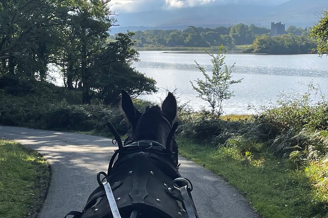 Horse-Drawn Carriage Tours in Killarney - Scenic Route Highlights