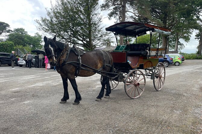 Horse-Drawn Carriage Tours in Killarney - Positive Overall Reviews