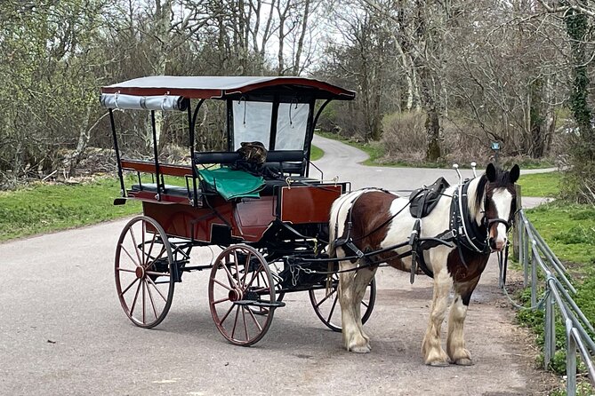 Horse-Drawn Carriage Tours in Killarney - Must-Do Experience in Killarney