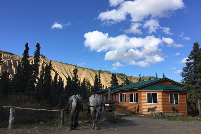 Horse-Drawn Covered Wagon Ride With Backcountry Dining - Dining Experience