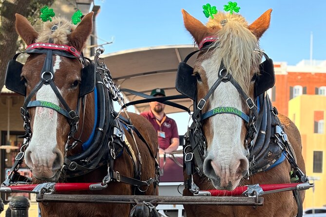 Horse Drawn Daytime Group Narrated Historic Overview Tour - Tour Overview