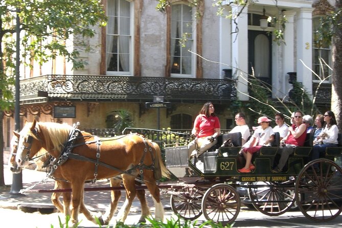 Horse Drawn Daytime Group Narrated Historic Overview Tour - Traveler Experiences and Feedback