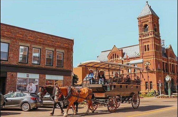 Horse Drawn Historical Guided Tour - The Sum Up: Who Will Enjoy This Tour Most?