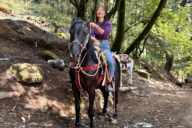 Horse Experience With My Family - Included Activities and Amenities