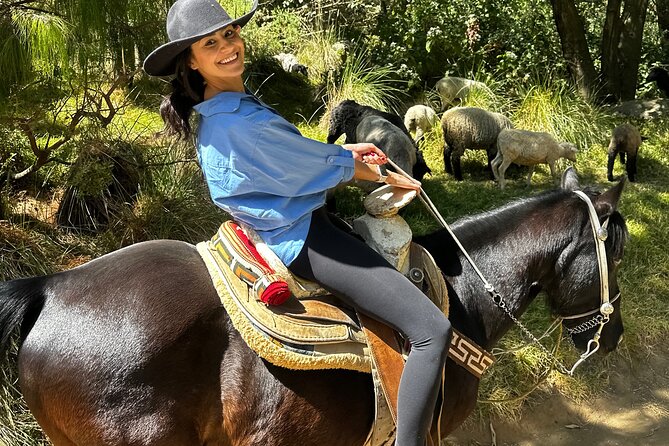 Horse Experience With My Family - Family and Group Suitability