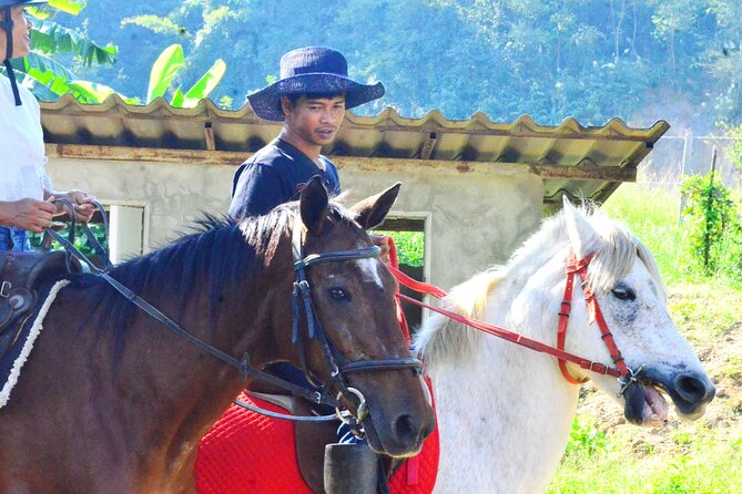 Horse Lesson+Riding+Wat Tonkwen Wooden Temple.Chiangmai - Itinerary and Activities