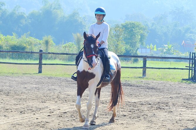 Horse Lesson+Riding+Wat Tonkwen Wooden Temple.Chiangmai - Customer Reviews