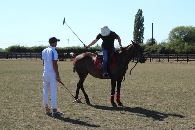 Horse & Polo in Windsor, UK - Important Details