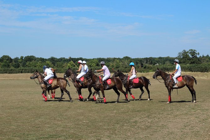 Horse & Polo in Windsor, UK - Health and Safety