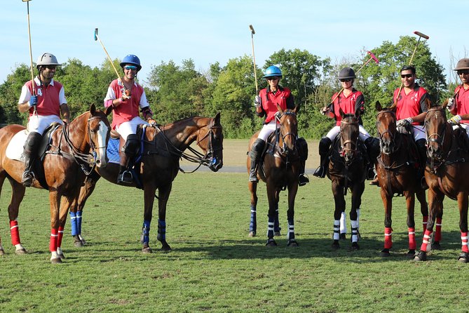 Horse & Polo in Windsor, UK - Instructor Testimonials