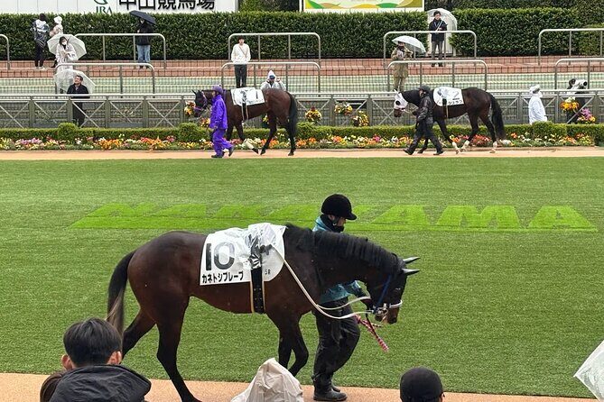 Horse Racing Tour with Local Fans in Tokyo, Oi Racecourse - Pricing and Value
