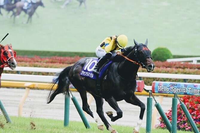 Horse Racing Tour with Local Fans in Tokyo Racecourse - Discover the Thrill of Horse Racing at Tokyo Racecourse with a Local Touch