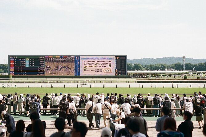Horse Racing Tour with Local Fans in Tokyo Racecourse - Key Points