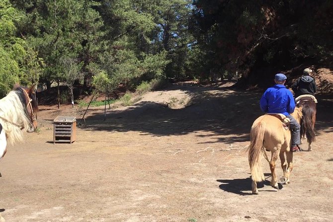 Horse Ride & BARBECUE on Ritoque Beach&Sand Dunes FROM VALPARAISO - Key Points
