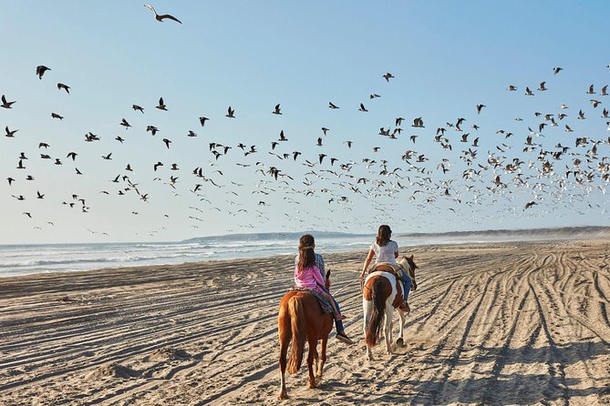 Horse Ride & BARBECUE on Ritoque Beach&Sand Dunes FROM VALPARAISO - Horseback Riding Experience
