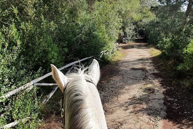 Horse Ride in a Salento Nature Reserve With Transfer From Lecce - Itinerary and Activities