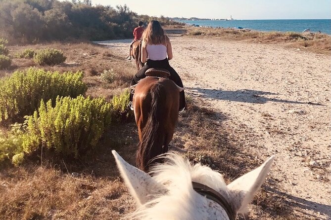 Horse Ride in a Salento Nature Reserve With Transfer From Lecce - Customer Reviews