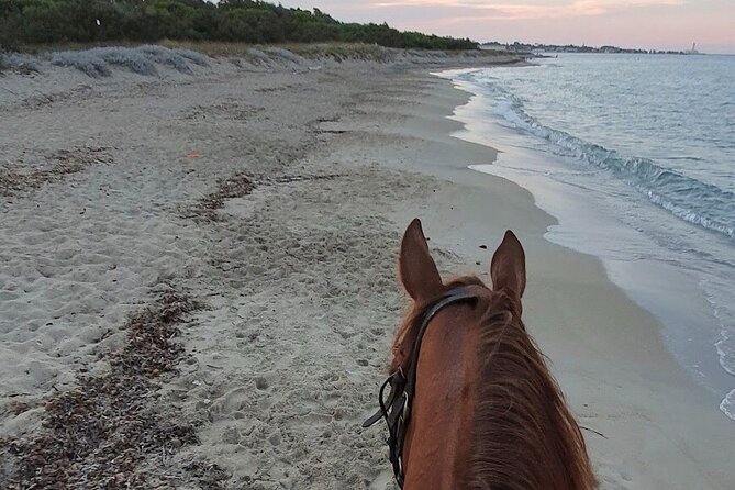 Horse Ride in a Salento Nature Reserve With Transfer From Lecce - Guided Horseback Riding