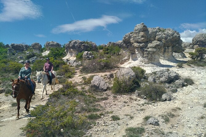 Horse Ride in Haute Provence, Luberon, and Forcalquier - Panoramic Views From Verdant Plateaux