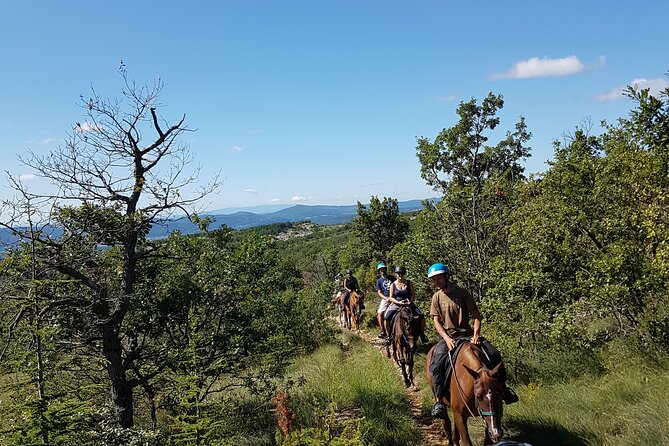 Horse Ride in Haute Provence, Luberon, and Forcalquier - Pre-Departure Instructions for Beginners
