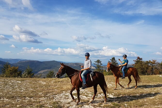 Horse Ride in Haute Provence, Luberon, and Forcalquier - Positive Reviews From Previous Travelers