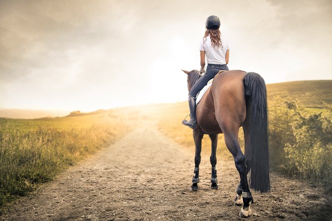 Horse Ride in the Mugello (Transfer From / to Florence) and Tuscan Aperitif - Accessibility Information