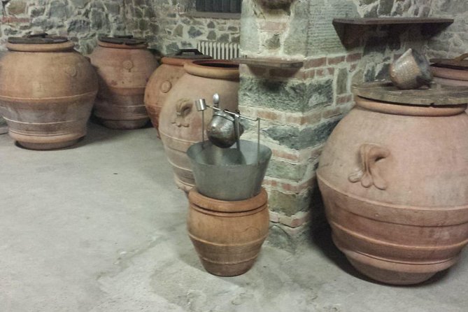 Horse Ride, Olive Oil and Local Foods Tasting in a Tuscan Farm - Olive Oil Tasting and Production