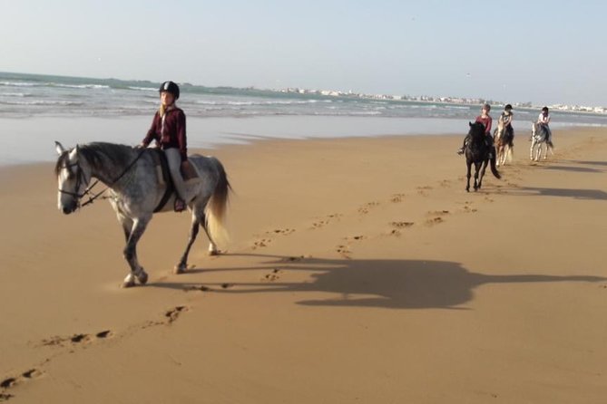 Horse Ride on the Beach in Essaouira - Exploring the Seaside Landscapes