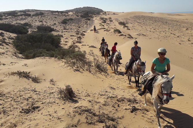 Horse Ride on the Beach in Essaouira - Meeting Point and Pickup