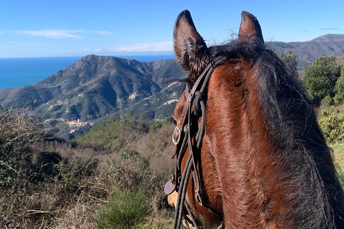 Horse Ride on the Coast of Monterosso Al Mare Cinque Terre - Meeting and Pickup Details