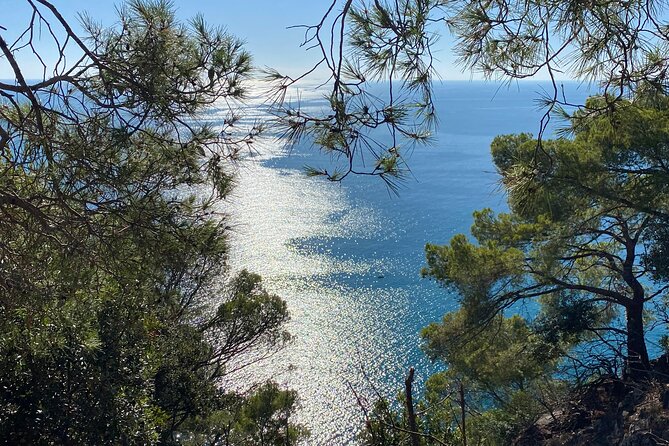 Horse Ride on the Coast of Monterosso Al Mare Cinque Terre - Tour Accessibility and Limitations