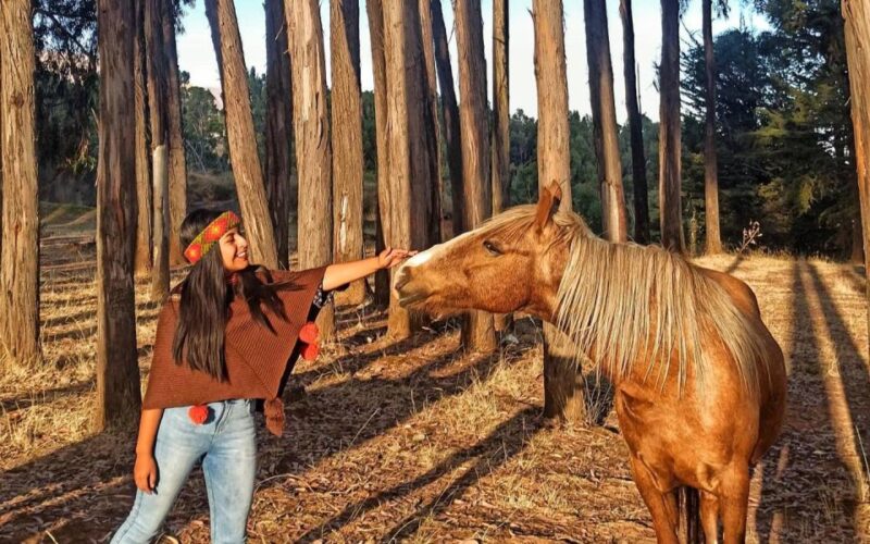 Horse Ride Through Sacsayhuaman, Qenqo and Eucalyptus Forest - Itinerary and Logistics