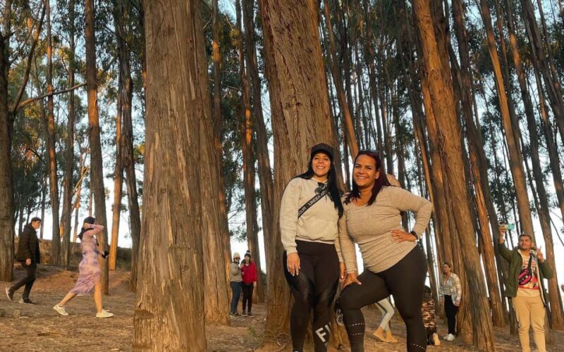 Horse Ride Through Sacsayhuaman, Qenqo and Eucalyptus Forest - Customer Reviews