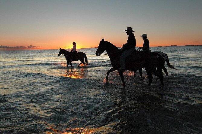 Horse Ride Trip , Bedouin Dinner And Show - Sharm El Sheikh - Key Points